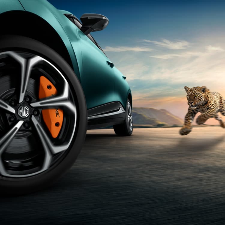 mg-banner-main-desktop