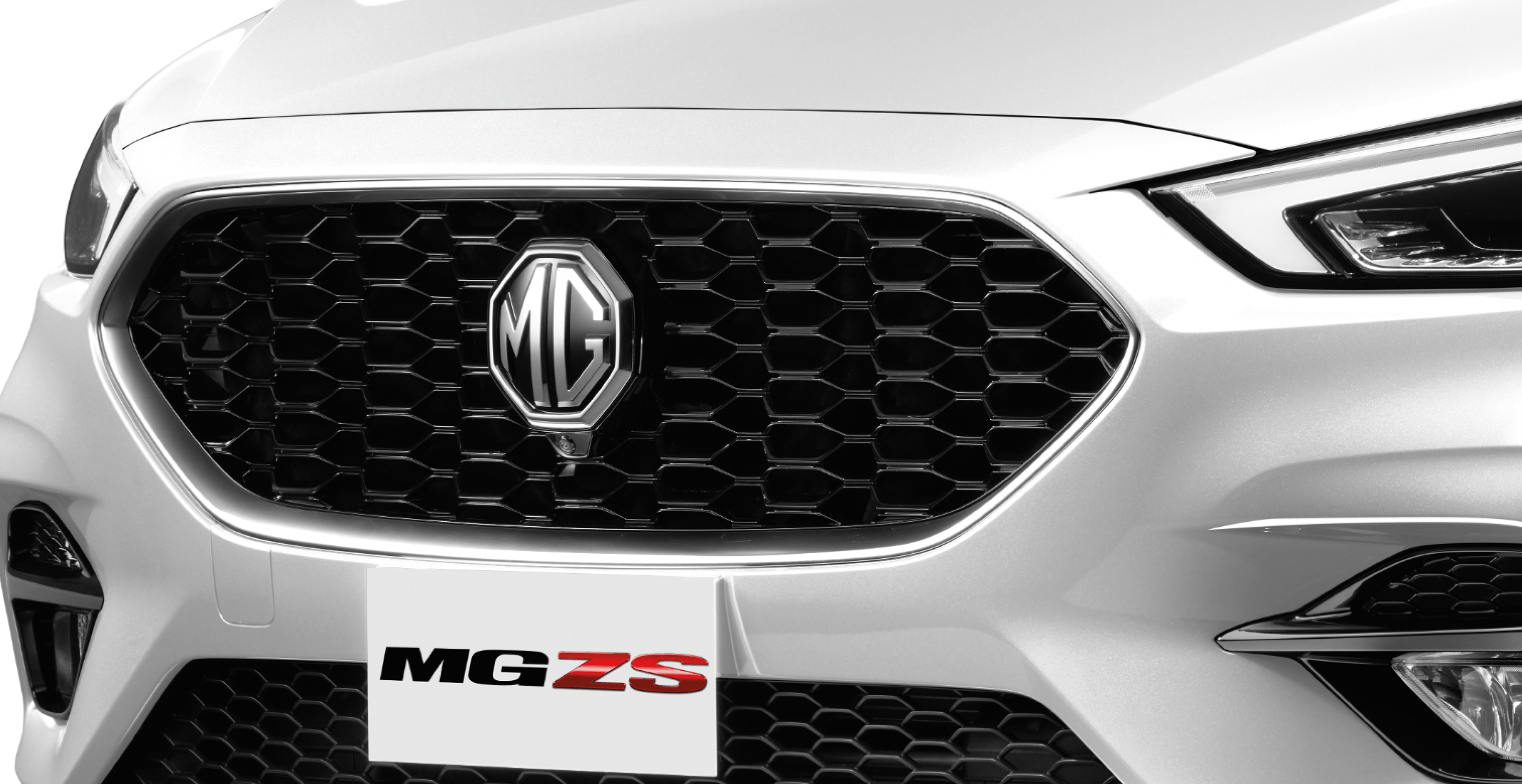 banner-interior-mg-1